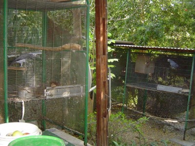 מבט לכיוון שמאלה