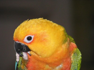 ונעליים 015 (1014 x 760).jpg