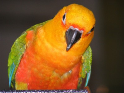 ונעליים 016 (1014 x 760).jpg