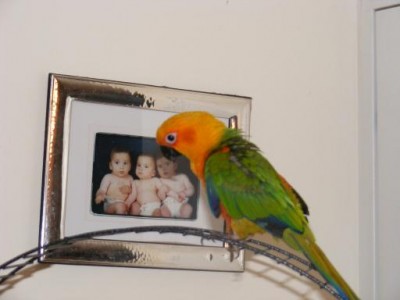 אודי עם תמונת השלישיה שלנו