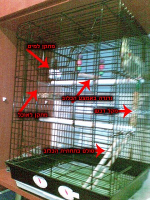 03092008004copyyu5.jpg