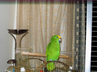 Resize of IMG_4828.JPG