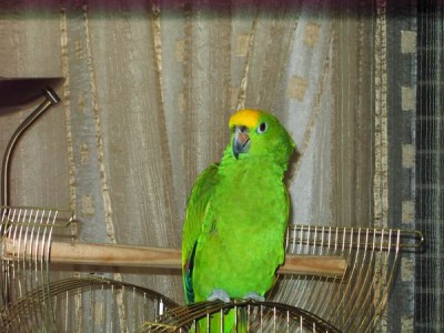 Resize of IMG_4829.JPG