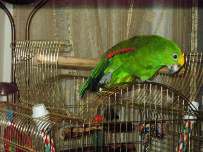 Resize of IMG_4830.JPG