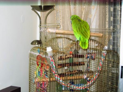 Resize of IMG_4832.JPG