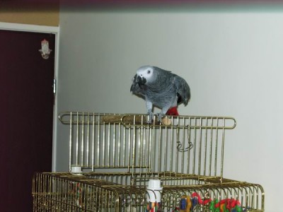 Resize of IMG_4833.JPG