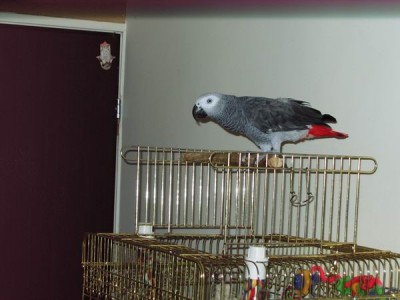 Resize of IMG_4834.JPG