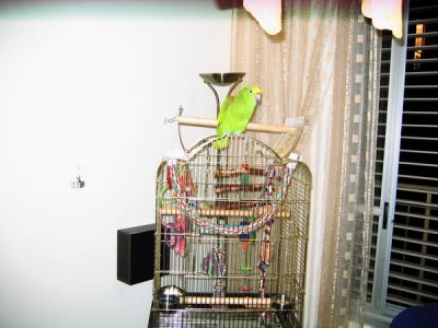 Resize of IMG_4836.JPG