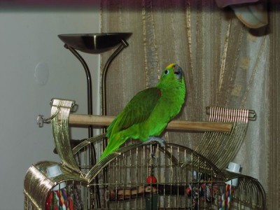 Resize of IMG_4841.JPG