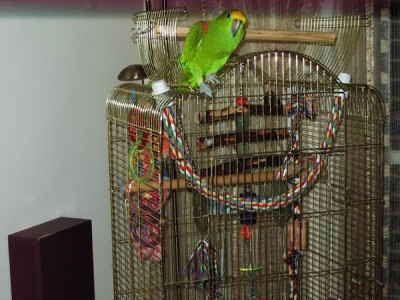 Resize of IMG_4843.JPG