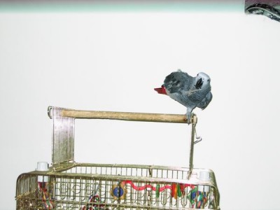 Resize of IMG_4845.JPG