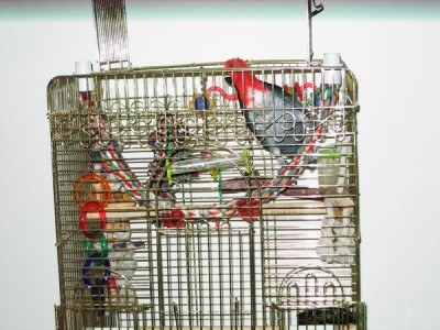 Resize of IMG_4846.JPG