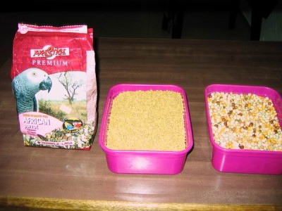 Resize of IMG_4849.JPG