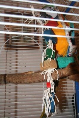 כבר מפרקת ונהנית מכל רגע