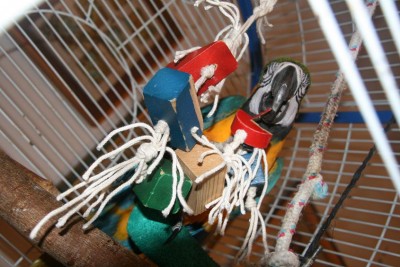 רואים שמבסוטא עד לגג