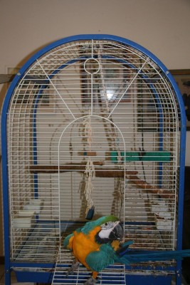 חדש לזאזו 005.jpg