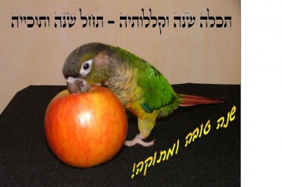 תפוח בדבש