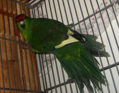 IMG_2376.jpg