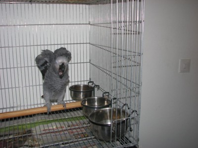 אתה משעמם אותי.jpg