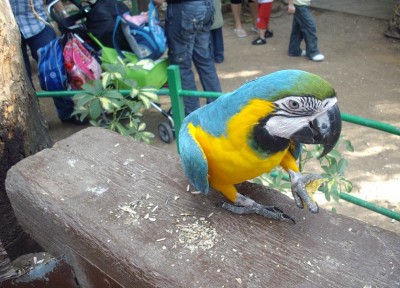 נכון שהיא מקסימה?=]