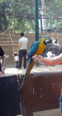 אני והארה- רק שאותי אתם לא רואים חח