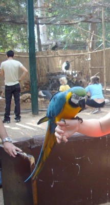 שוב אני והארה