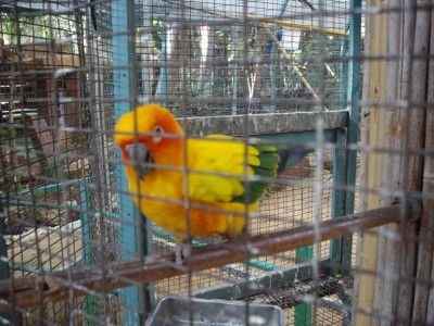 הוא יפה והוא מודע לזה לכן הוא עושה פוזה