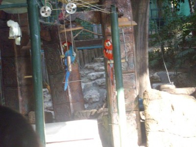 במופע התוכים