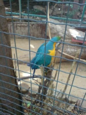 קבלו פוזת גב