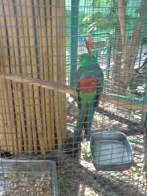 לא הצלחתי לזהות את הסוג תגידו לי בבקשה