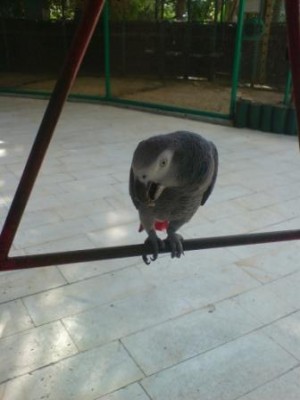 אין מילים ליופי