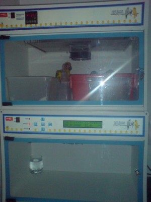 DSC00274_resize.JPG