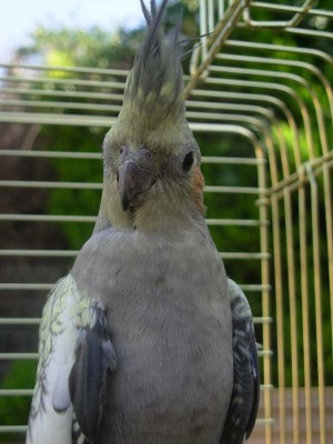 06.JPG
