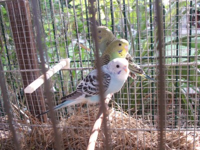 PICT0213.JPG