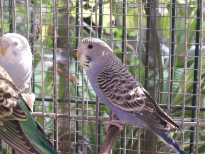 PICT0216.JPG