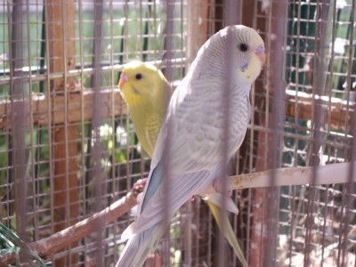 PICT0219.JPG