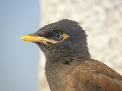 PB030134.JPG