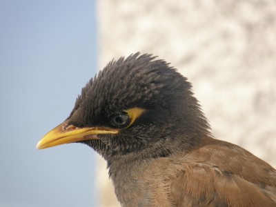 PB030136.JPG