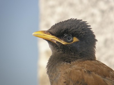 PB030138.JPG