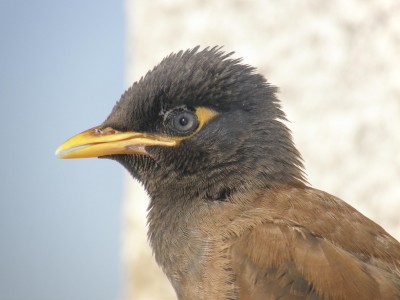 PB030139.JPG