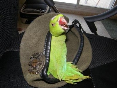 מה? כבר הולכים??