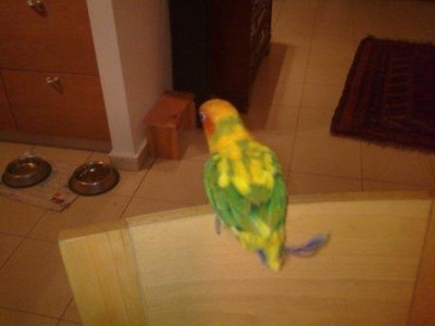 אני לא מעניין אותו