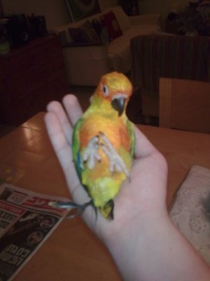 הוא ממש אוהב להיות ככה