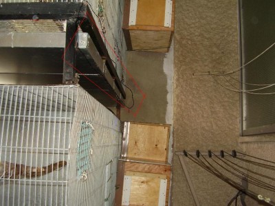 PB070162.JPG