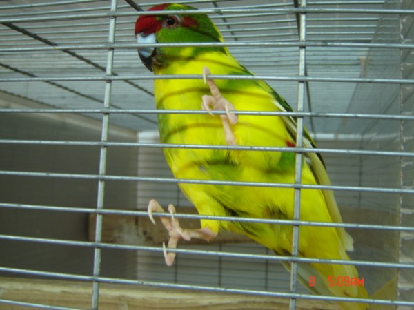 DSC01062.jpg