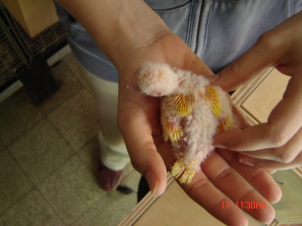Picture 005.jpg