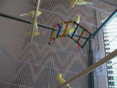 Sally-4.jpg