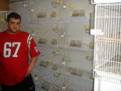 Mike-1.jpg