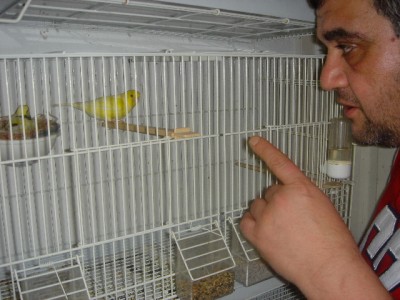 Mike-2.jpg
