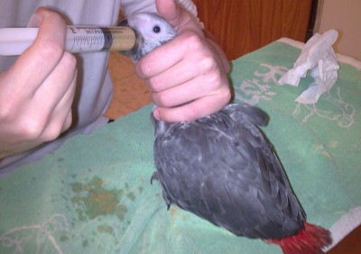 חודשיים (2).jpg